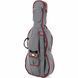 Виолончель Stentor SR1108 Cello Student II 3/4