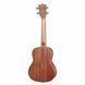 Укулеле Bumblebee Ukuleles Buc30 Concert Ukulele Pack