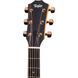 Акустична гітара Taylor 214e-SB DLX