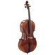 Виолончель Gewa Allegro VC1 Cello Set 1/4 CB