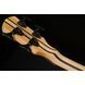 Бас-гітара Spector 70th Anniv. NS Dim MS 4 Walnut