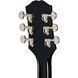 Електрогітара Epiphone SG Standard Ebony IBG
