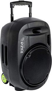 Мобільна акустична система Ibiza Port12VHF MKII Black