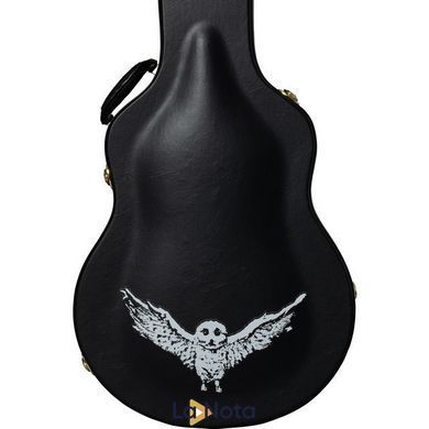 Електрогітара Epiphone Jim James ES-335 70s WF