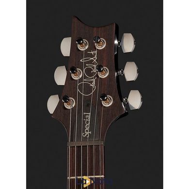 Електрогитара PRS Special Semi-Hollow CB