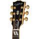 Акустична гітара Epiphone Hummingbird Deluxe EC NA IBC