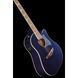 Акустическая гитара Ibanez ALT30-NBM