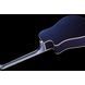 Акустическая гитара Ibanez ALT30-NBM