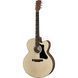 Акустична гітара Gibson G-200 EC Natural Generation
