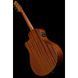 Акустична гітара Ibanez AAM50-CE-CRO