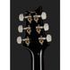 Електрогитара PRS Special Semi-Hollow CB