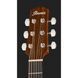 Акустична гітара Ibanez AAM50-CE-CRO