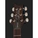 Електрогитара PRS Special Semi-Hollow CB