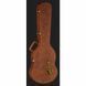 Електрогитара Gibson Les Paul Slash Standard AA