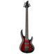 Бас-гітара ESP LTD B-205DX RB