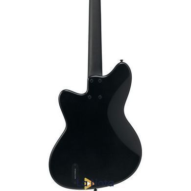 Бас-гітара Ibanez TMB420B-BKF