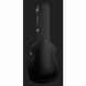 Електрогитара Gretsch G6620TFM PE Nashville DC OS