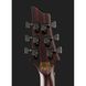 Електрогітара Schecter John Browne Tao-6 LH