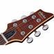 Електрогитара Schecter Retro C-1 E/A Cat's Eye