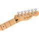 Електрогітара Fender LTD Player Tele BRG