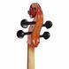Виолончель Hidersine Vivente Cello Set 3/4