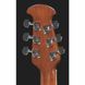 Акустична гітара Ovation Celebrity Tradition CS-24P-NBM