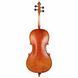 Виолончель Hidersine Vivente Cello Set 3/4