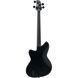 Бас-гітара Ibanez TMB420B-BKF