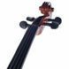 Акустическая скрипка Fidelio Student Violin Set 4/4