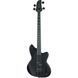 Бас-гітара Ibanez TMB420B-BKF