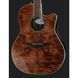Акустична гітара Ovation Celebrity Tradition CS-24P-NBM
