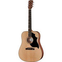 Акустична гітара Gibson G-Bird Generation Collection