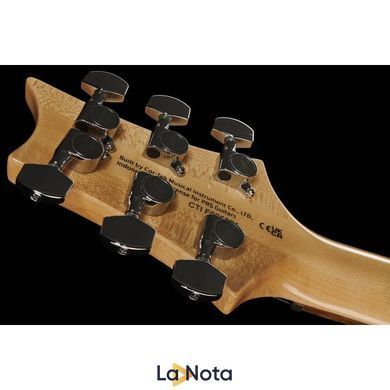 Електрогітара PRS SE Custom 24 FBB