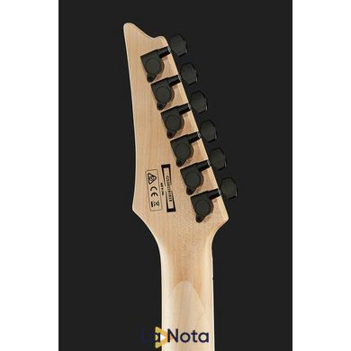 Електрогітара Ibanez GRG121DX BKF