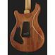 Електрогітара PRS SE Custom 24 FBB