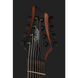 Електрогітара Schecter Rob Scallon C-8 SDR