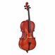 Віолончель Roth & Junius RJC Cello Set 1/2
