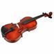 Акустическая скрипка Alfred Stingl by H&ouml;fner AS-190-V Violin Set 3/4