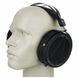 Навушники без мікрофону Audeze LCD-2 Classic Open System