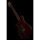 Електрогитара PRS Custom 24 FR CC 10 Top