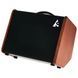 Комбопідсилювач Godin Acoustic Solutions ASG-8 Wood