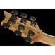 Електрогітара PRS SE Custom 24 FBB