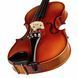 Акустична скрипка Roth & Junius Europe Student Violin Set 1/4