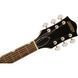Електрогітара Gretsch G2622T AA Streamliner