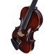Акустическая скрипка Franz Sandner 100th Anniversary Violin 4/4