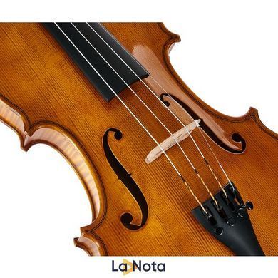 Акустична скрипка Gewa Georg Walther Violin GY
