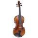Акустическая скрипка Gewa Maestro 2 Violin 3/4