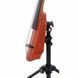 Електровіолончель NS Design WAV4c Cello Amberburst
