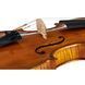 Акустична скрипка Gewa Georg Walther Violin GY