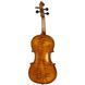 Акустична скрипка Gewa Georg Walther Violin GY